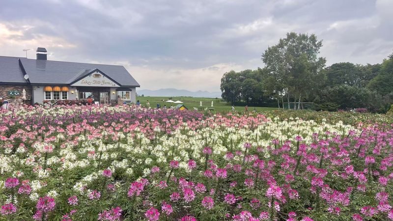 Hokkaido Mount Yotei, Lake Toya, Noboribetsu Nature Day Tour (Small Group Transfer) - Seasons, weather, and what can change