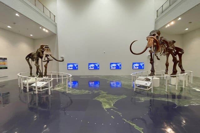 Hokkaido Museum [General Exhibition] Admission Ticket in Sapporo - What to know before you go