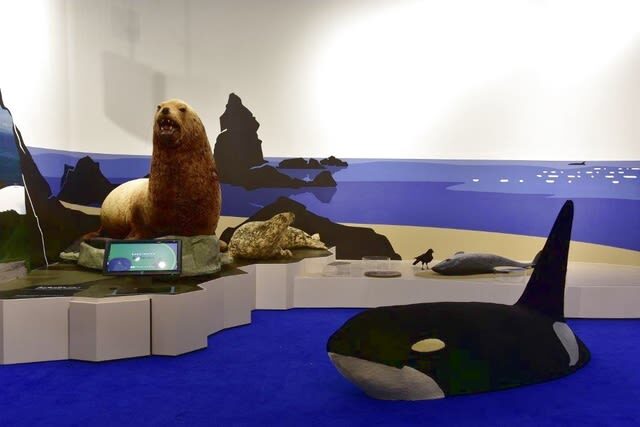 Hokkaido Museum [General Exhibition] Admission Ticket in Sapporo - Getting there from Sapporo