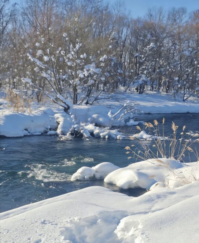 Hokkaido Must-See! Asahikawa Biei Furano Leisurely One-Day Tour: Ningle Terrace Illumination Trip: Small group of 7-9 people - Shirahige Falls: water beneath the snow