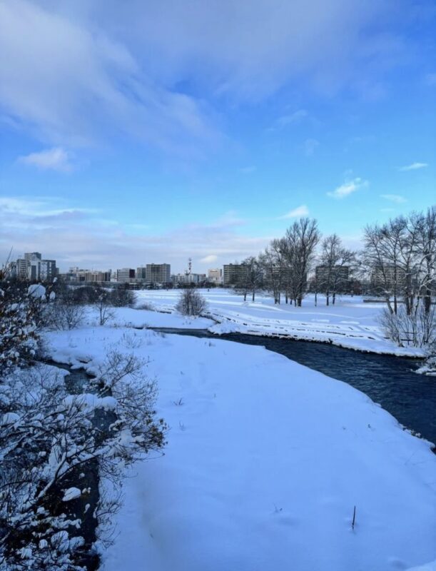 Hokkaido Must-See! Asahikawa Biei Furano Leisurely One-Day Tour: Ningle Terrace Illumination Trip: Small group of 7-9 people - Ningle Terrace after dark