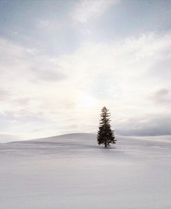 Hokkaido Must-See! Asahikawa Biei Furano Leisurely One-Day Tour: Ningle Terrace Illumination Trip: Small group of 7-9 people - What to wear and bring
