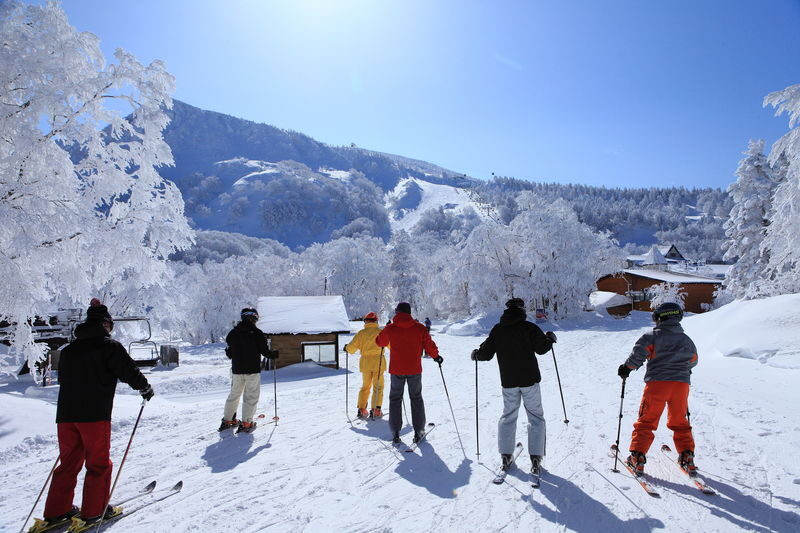 Hokkaido Niseko Chinese and English Private Snowboard/Ski Instructor and Photography Services - Teaching style, language, and photos