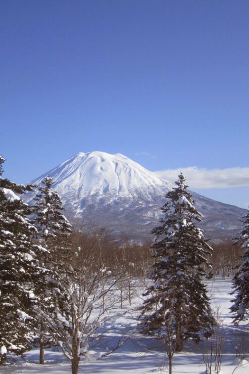 Hokkaido Niseko Ski Day Tour - Booking Details