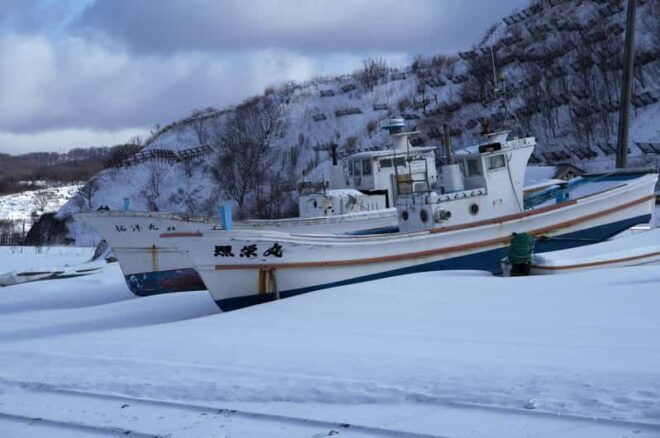 Hokkaido Niseko Ski Day Tour - Contact and Communication