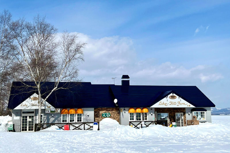 Hokkaido Noboribetsu Day Tour | Kyogoku Fuki-dashi Park, Lake Toya (Optional Snowmobile in Winter), Showa-shinzan Bear Ranch, Noboribetsu Jigokudani Day Tour | Departing from Sapporo - Guides, group size and the rhythm of the day
