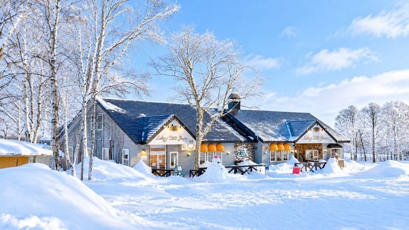Hokkaido Noboribetsu Day Tour | Lake Toya (Optional Snowmobile in Winter) & Lake Hill Farm & Showa Shinzan & Jigokudani (Hell Valley) & Fukiidashi Park (Matsusui Park) | Multiple Itineraries Available - Lake Hill Farm and Toyako Onsen