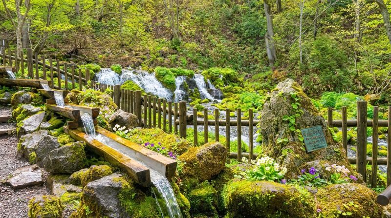 Hokkaido Noboribetsu Day Tour | Lake Toya (Optional Snowmobile in Winter) & Lake Hill Farm & Showa Shinzan & Jigokudani (Hell Valley) & Fukiidashi Park (Matsusui Park) | Multiple Itineraries Available - Showa Shinzan and its bear ranch