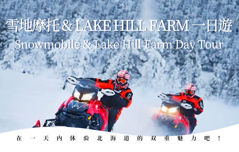 Hokkaido Noboribetsu Hell Valley, Lake Toya, Bear Ranch, Lake Hill Farm Day Trip (Includes Ice Cream, Optional Snowmobile Experience) - A long Hokkaido day without the driving