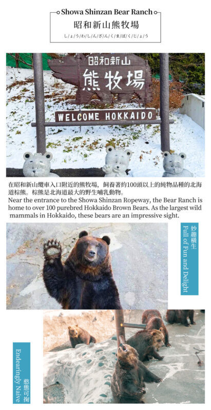 Hokkaido Noboribetsu Hell Valley, Lake Toya, Bear Ranch, Lake Hill Farm Day Trip (Includes Ice Cream, Optional Snowmobile Experience) - Showa Shinzan Bear Ranch: bears, views and a quick meal