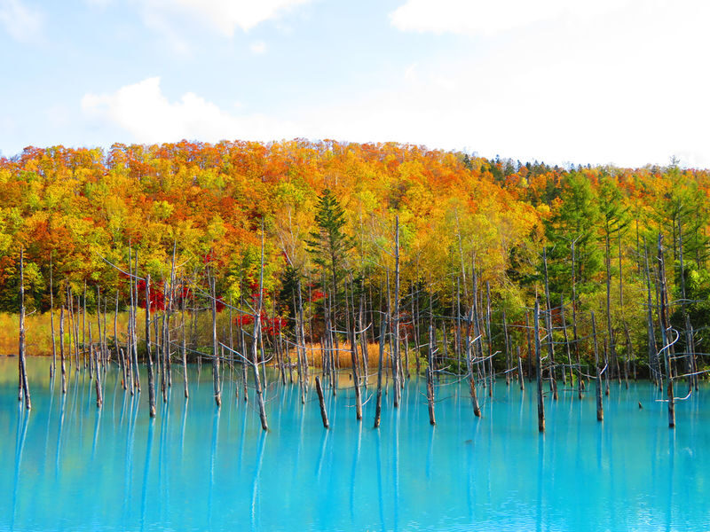 Hokkaido | Noboribetsu, Lake Toya, Asahikawa Private Chartered Day Tour | Customizable Itinerary - Why the private car can be worth the fare