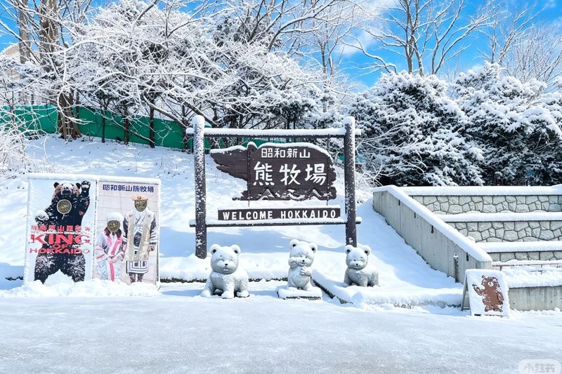 Hokkaido Noboribetsu Selected Day Tour: Lake Toya, Jigokudani, Showa-shinzan, Lake Shikotsu Illumination (Optional Snowmobile Experience, Multiple Routes Available) - A full day linking lakes, bears and volcanoes