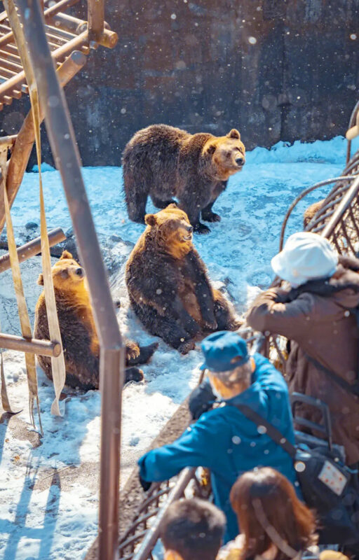 Hokkaido Noboribetsu Toya Lake Otaru Panoramic Day Trip - Should you book it?