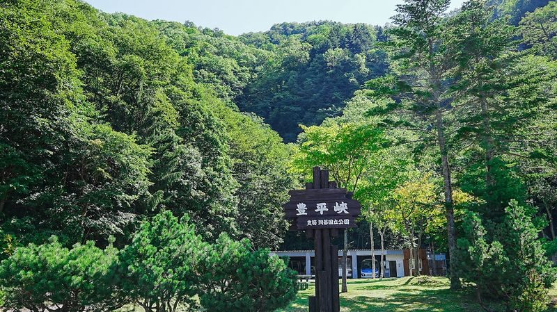 Hokkaido One-Day Tour: Hoheikyo Gorge, Jozankei, Lake Toya, Showa Shinzan, and Mount Yotei Spring Water Park (Departing from Sapporo) - Who should book this Sapporo day tour?