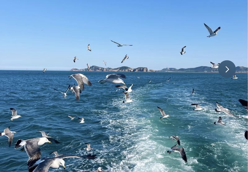 Hokkaido Otaru: Kamui Cape, Blue Cave & Otaru Canal (EN/CN Guide) - Is this the right day trip for you?
