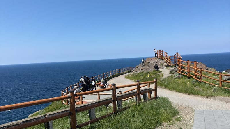 Hokkaido: Otaru, Shakotan Kamui Cape, Shimamui Coast, Yoichi Distillery - Comfortable Bus Selected Day Tour - Who will enjoy this day most