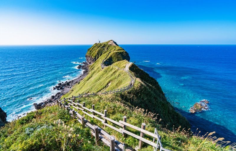 Hokkaido Private Customized Charter (Sapporo/Otaru/Noboribetsu/Biei/Furano/New Chitose/Niseko, etc. + Chinese/Japanese Driver + Toyota Alphard/Hiace Models + Green Plate Commercial Vehicle) - Airport Transfers Are a Different Product