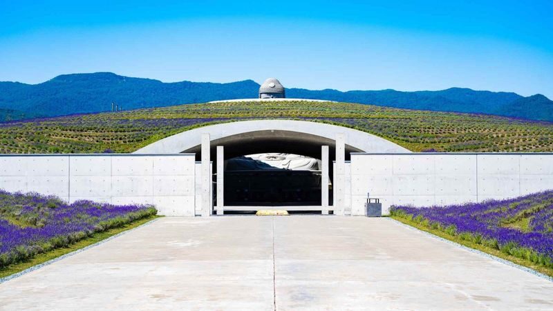 Hokkaido Sapporo Niseko Mount Yotei Scenic Tour: May Shibazakura and Tulips / July Lavender / September-October Red Kochia and Marsh Autumn Colors - Practical details for the day