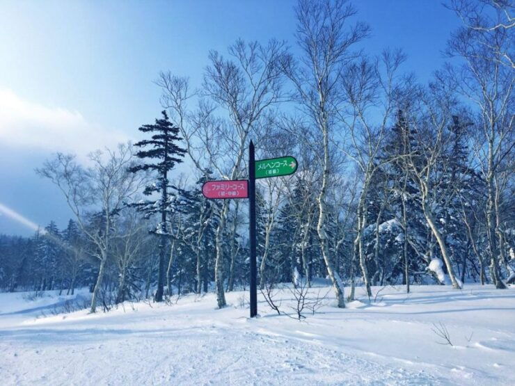 Hokkaido: Sapporo Ski Resort Day Trip With Gear Rental - Activity Details