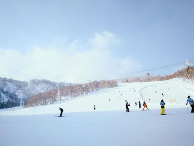 Hokkaido: Sapporo Ski Resort Day Trip With Gear Rental - Select Participants and Date