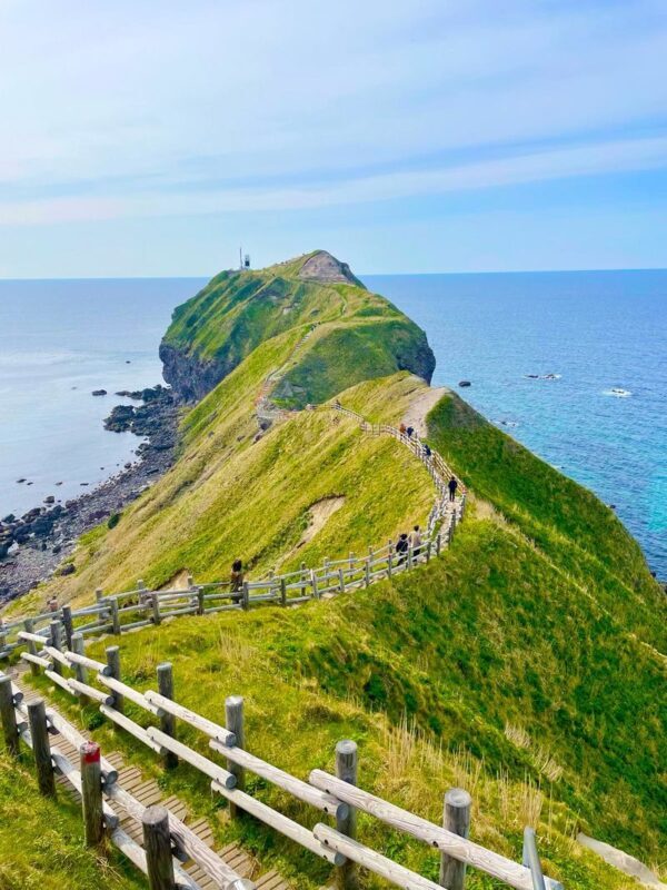 Hokkaido: Shakotan Sea Urchin & Yoichi Whisky Distillery 1-Day Tour - From Sapporo, a full day on the road