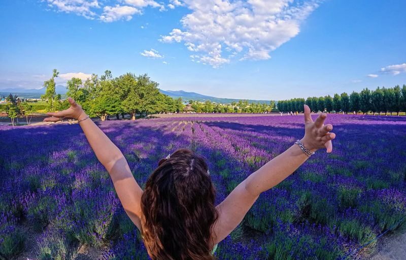 Hokkaido Shikisai no Oka & Farm Tomita Full-Day Small Group Adventure - Blue Pond and the road between stops