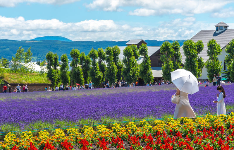 Hokkaido Shikisai no Oka & Farm Tomita Full-Day Small Group Adventure - What the small-group label means in practice