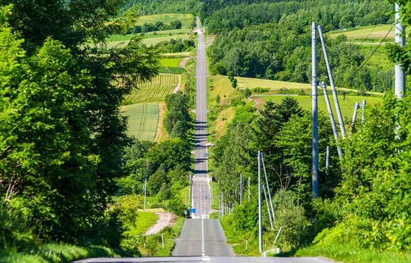Hokkaido Shikisai no Oka & Farm Tomita Full-Day Small Group Adventure - Is $59.25 good value?