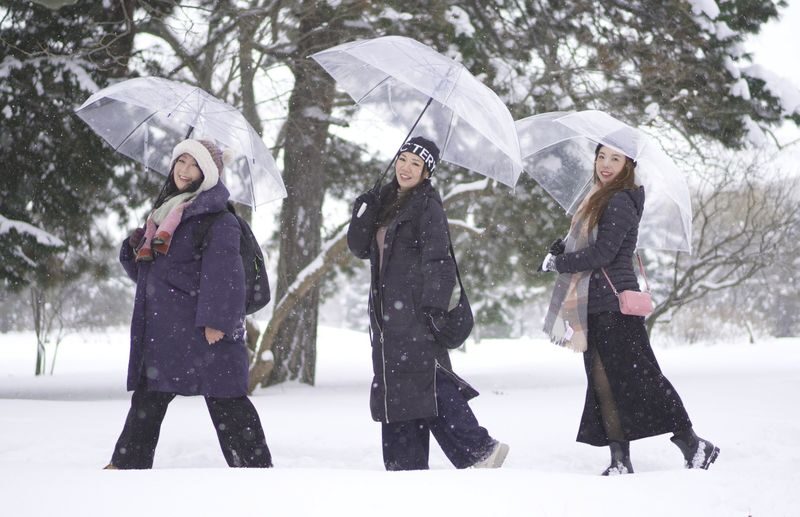 Hokkaido: Snap Photography Experience (Sapporo) - Is $126.45 good value for an hour?