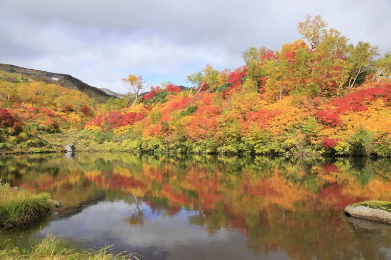 Hokkaido Sounkyo Gorge Autumn Foliage Day Trip: Sounkyo Onsen Town, Ginga & Ryusei Waterfalls, Mt. Kurodake Ropeway, and - What to know before you book