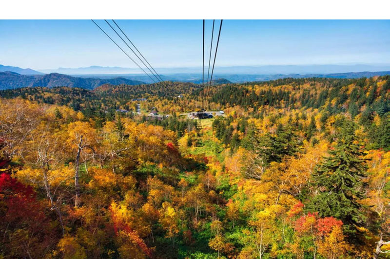Hokkaido Sounkyo Gorge Autumn Foliage Day Trip: Sounkyo Onsen Town, Ginga & Ryusei Waterfalls, Mt. Kurodake Ropeway, and - Kurodake ropeway is the high point