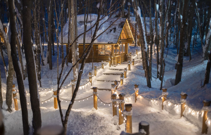 Hokkaido Super Chill 2-Day Light Trip | ROYCE Chocolate Factory, Asahiyama Zoo, Biei Seven Star Tree, Shirahige Falls, Bibai Snowland Fun, Ningle Terrace Illumination | Chinese Tour Guide - At a glance