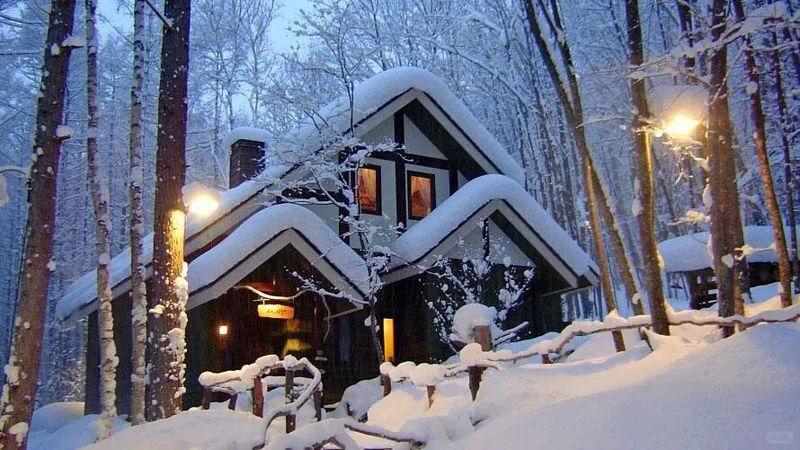 Hokkaido Super Chill 2-Day Light Trip | ROYCE Chocolate Factory, Asahiyama Zoo, Biei Seven Star Tree, Shirahige Falls, Bibai Snowland Fun, Ningle Terrace Illumination | Chinese Tour Guide - A two-day route built around winter sights