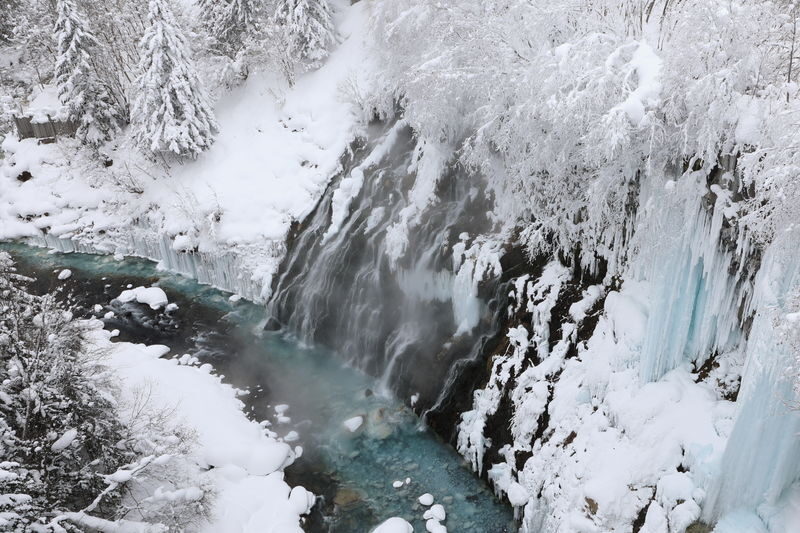 Hokkaido Super Chill 2-Day Light Trip | ROYCE Chocolate Factory, Asahiyama Zoo, Biei Seven Star Tree, Shirahige Falls, Bibai Snowland Fun, Ningle Terrace Illumination | Chinese Tour Guide - Day two: animals, Biei scenery and falls