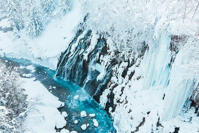 Hokkaido Tour, Asahiyama Zoo, Christmas Tree and Biei Green Pond - Transport and Comfort