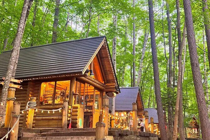 Hokkaido Tour, Asahiyama Zoo, Christmas Tree and Biei Green Pond - Who Should Book This Tour?