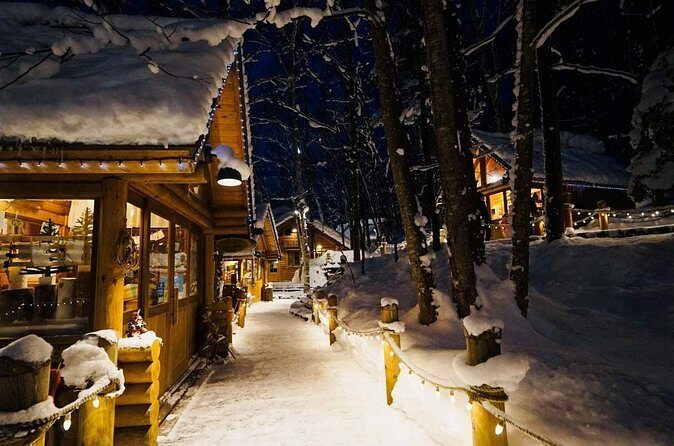 Hokkaido Tour, Asahiyama Zoo, Christmas Tree and Biei Green Pond - FAQs