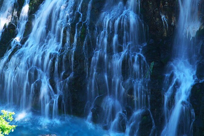 Hokkaido Tour, Asahiyama Zoo, Christmas Tree and Biei Green Pond - Final Thoughts