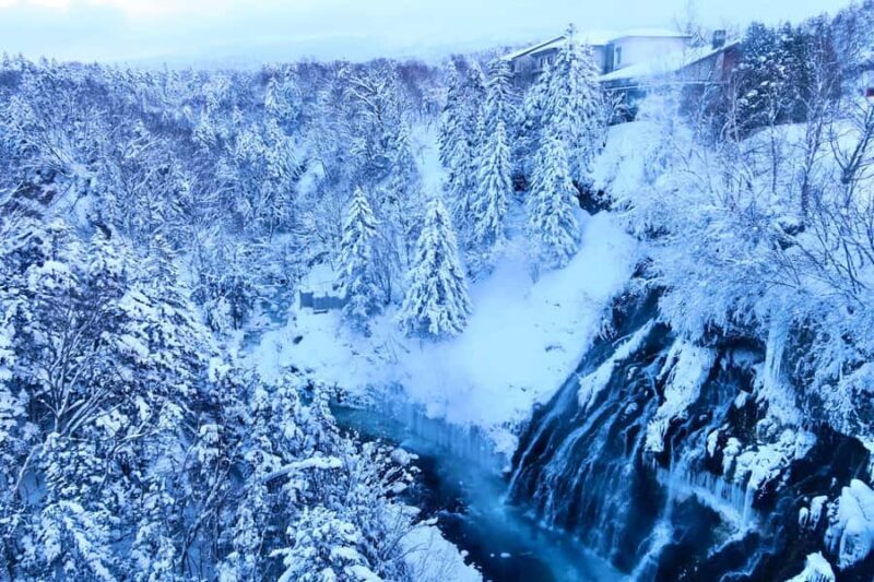 Hokkaido Tour: Snowy Landscapes & Polar Animals & Waterfalls - Good To Know