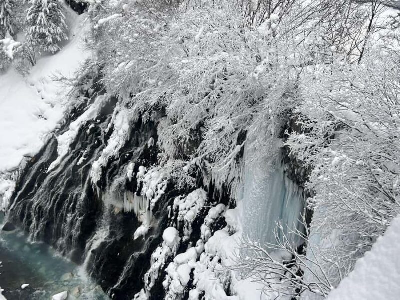 Hokkaido TourAsahiyama Zoo &Biei Waterfalls &Ningle Terrace - Good To Know