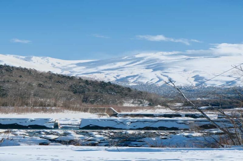 Hokkaido TourAsahiyama Zoo &Biei Waterfalls &Ningle Terrace - FAQ