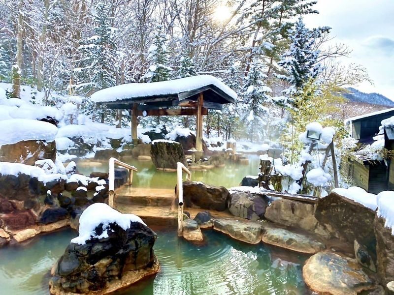 Hokkaido Toyohira Gorge Hot Spring Admission Ticket - The setting at Hoheikyo Onsen