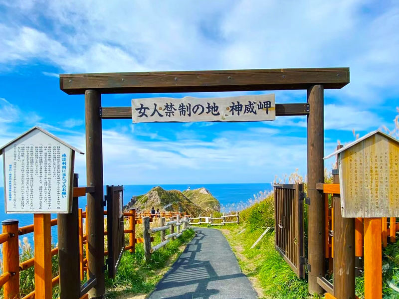 Hokkaido West Coast Tour: Otaru & Yoichi Distillery & Shakotan Peninsula Day Trip from Sapporo - Yoichi’s coal-fired whisky craft