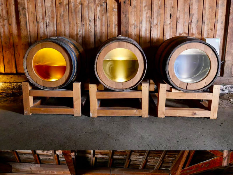 Hokkaido West Coast Tour: Otaru & Yoichi Distillery & Shakotan Peninsula Day Trip from Sapporo - Shimamui Coast and Golden Cape
