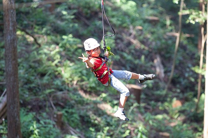 Hokkaido Wild Experiences: Forest Adventure and Day Camp - Thrilling Challenges: Test Your Limits in the Wild