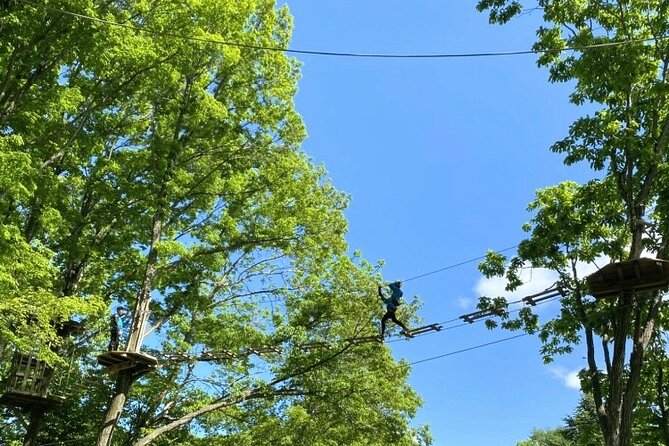 Hokkaido Wild Experiences: Forest Adventure and Day Camp - Unforgettable Memories: Create Lasting Bonds in the Wilderness