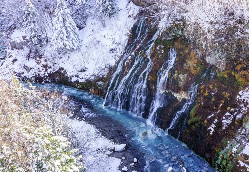 Hokkaido Winter Exclusive: Hokkaido Asahiyama Zoo & Internet-Famous Christmas Tree & Shirogane Blue Pond & Ningle Terrace One-Day Tour | Depart from Sapporo - Shikisai no Oka: snowfield views and an optional ride