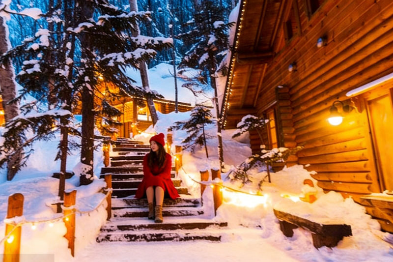 Hokkaido Winter Exclusive: Hokkaido Asahiyama Zoo & Internet-Famous Christmas Tree & Shirogane Blue Pond & Ningle Terrace One-Day Tour | Depart from Sapporo - Shirasu Falls: ice, mist, and a short mountain pause