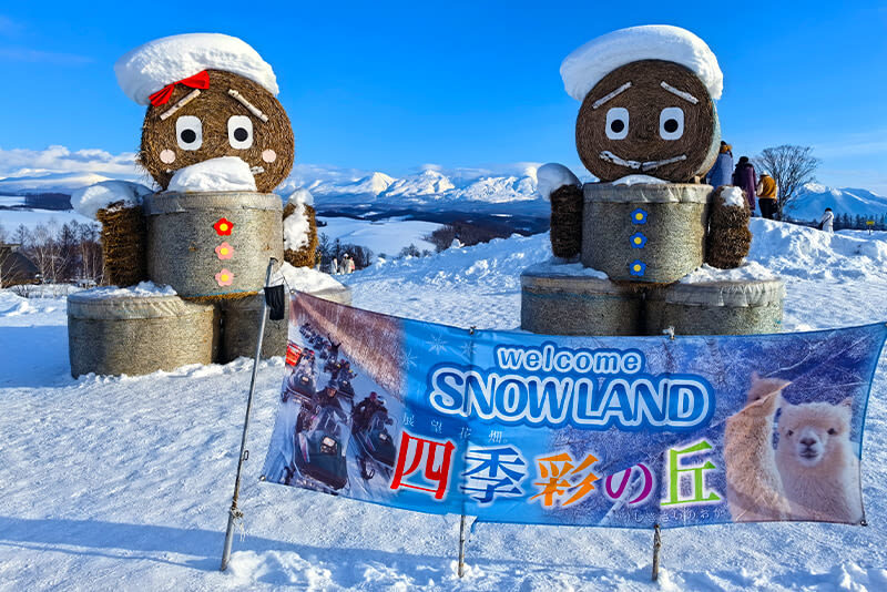 Hokkaido Winter Exclusive: Hokkaido Asahiyama Zoo & Internet-Famous Christmas Tree & Shirogane Blue Pond & Ningle Terrace One-Day Tour | Depart from Sapporo - The Sapporo-to-Biei drive: convenience with a time cost