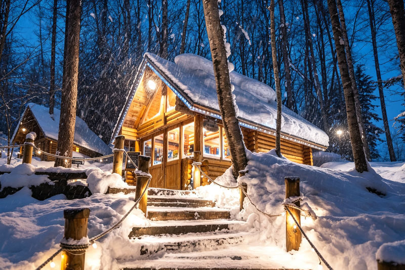 Hokkaido Winter Full-Day Tour | Penguin Walk, Platinum Blue Pond, Shirahige Falls, Forest Elf Terrace | Departure from Sapporo, Chinese and English Tour Guide - At a glance: five things to know